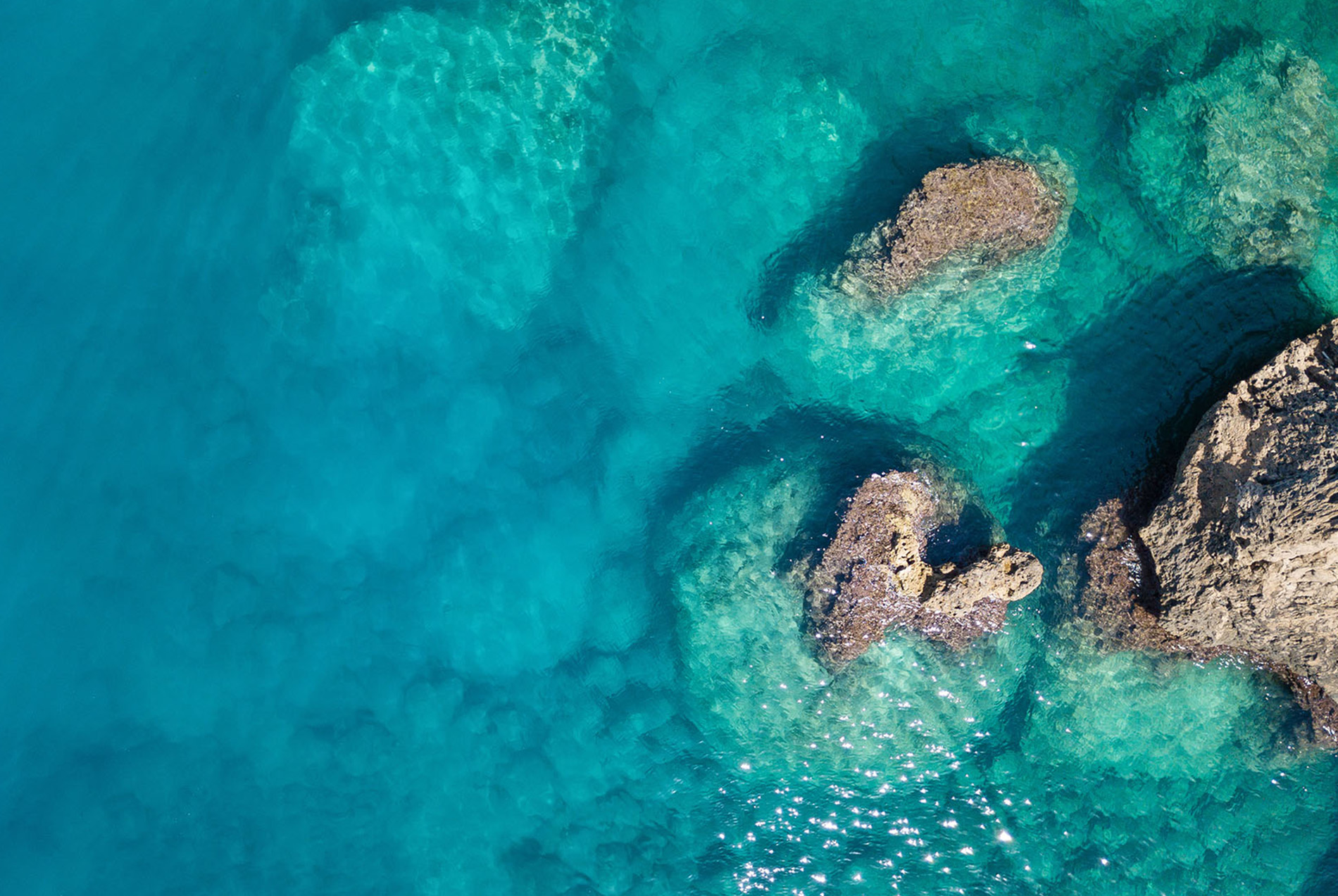 The image shows a vibrant underwater view of a coral reef with clear blue water and an abundance of marine life, including fish, swimming near the surface where sunlight filters through.