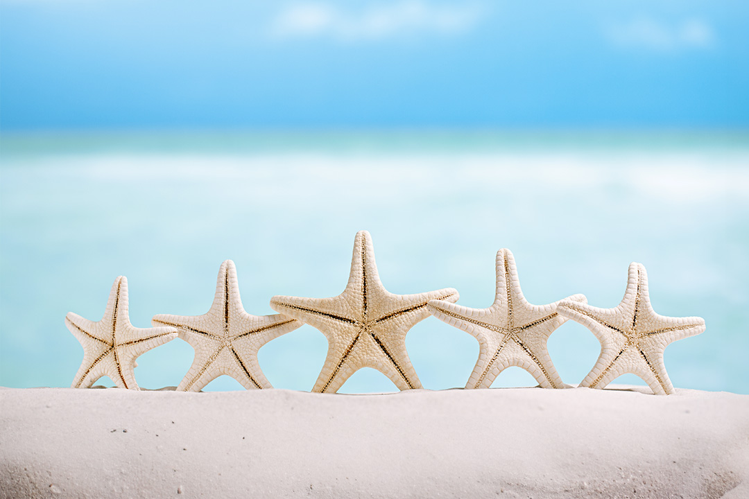 The image shows a sandy beach with three starfish decorations on the left side, placed on a white surface near the water s edge against a backdrop of clear blue sky and calm ocean waves.