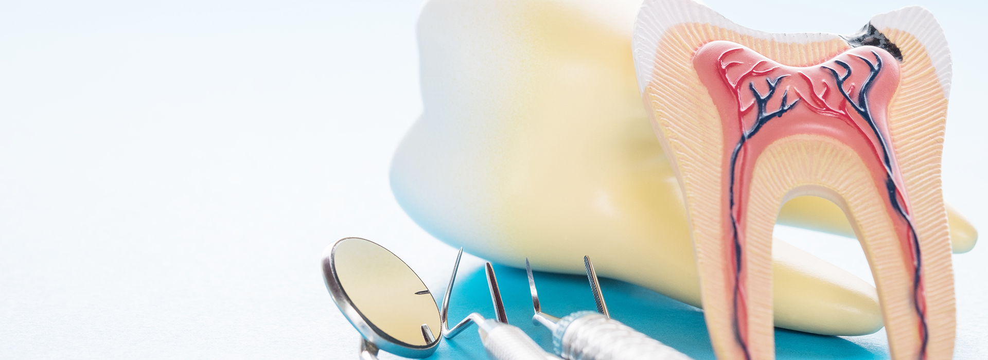 The image shows a close-up of dental instruments and a tooth model with an artificial gum line, set against a light blue background.